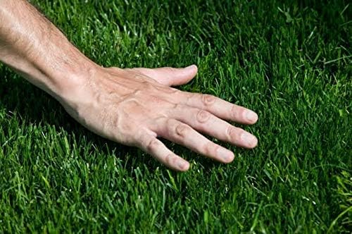 CARPET PLANET Artificial Grass - High Density Grass (Green 3-Tone)- Use As Balcony Garden, Carpet, Door Mat